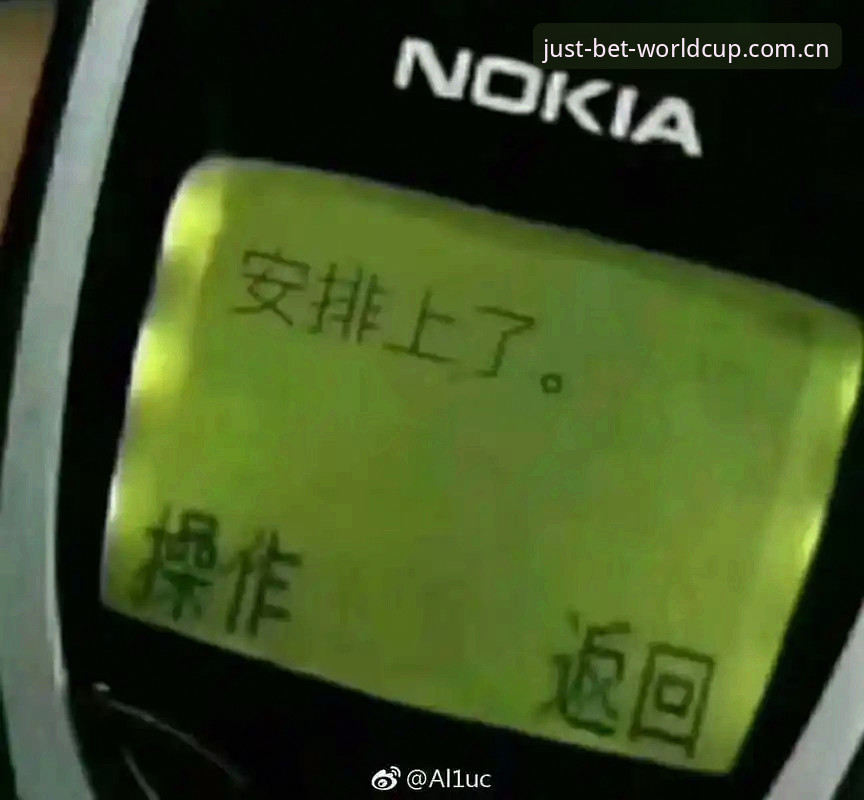 世界杯买球官网稳定性深度分析：从45.2 MB安装包到FYI频道的数据链路